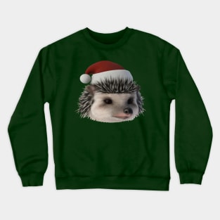 Christmas Hedgehog Or Opossum Wearing Santa Costume Crewneck Sweatshirt